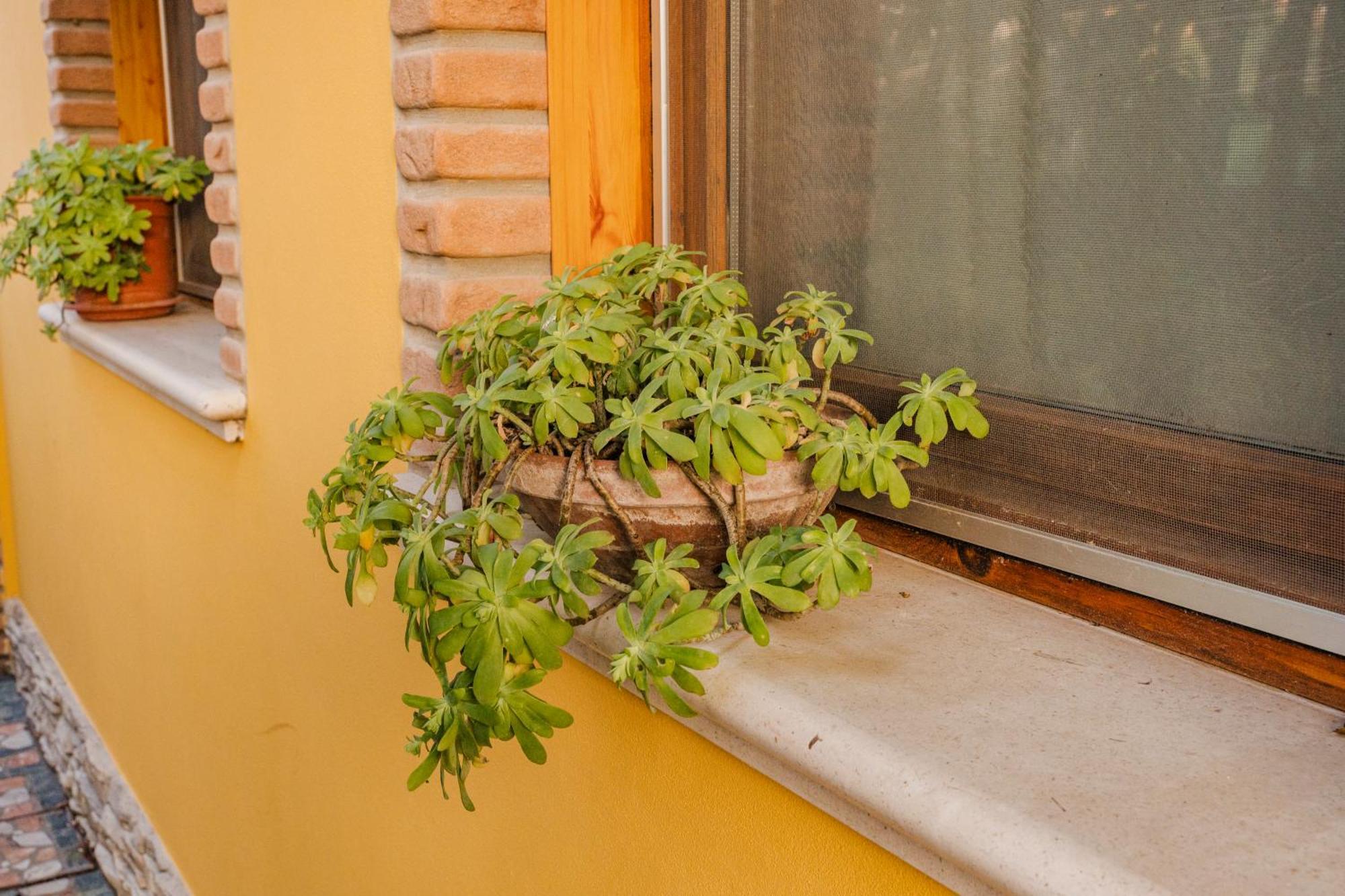Bed and Breakfast La Loggia Comacchio Exterior foto